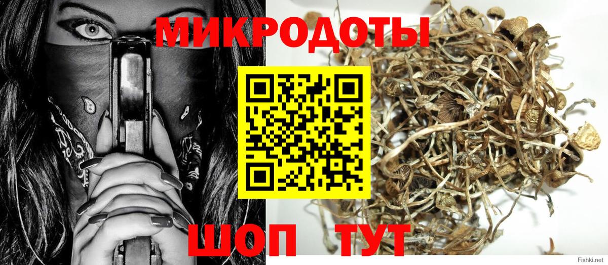 Партизанск  Галлюциногенные грибы Magic Shrooms  Вход с VPN 